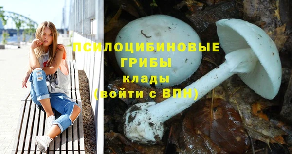 прущая мука Сатка