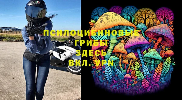 каннабис Беломорск