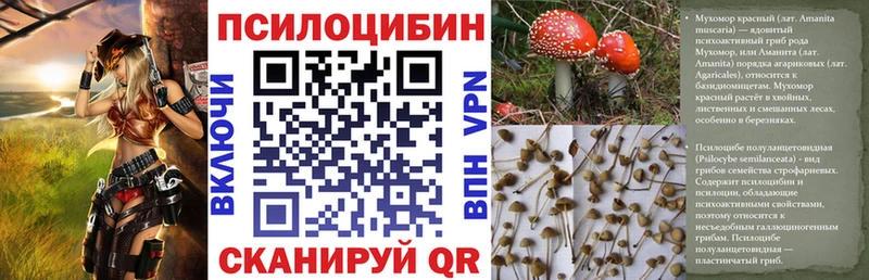 Псилоцибиновые грибы Psilocybe  сколько стоит  Вязьма 